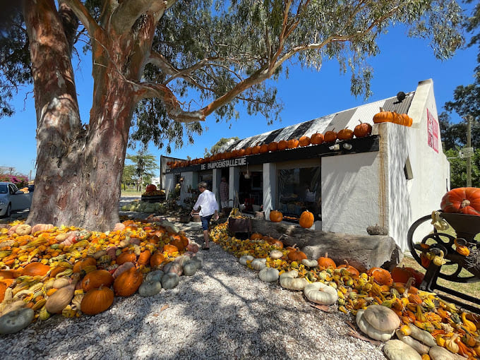 Die Pampoen Stalletjie Padstal with heaps of pumpkins