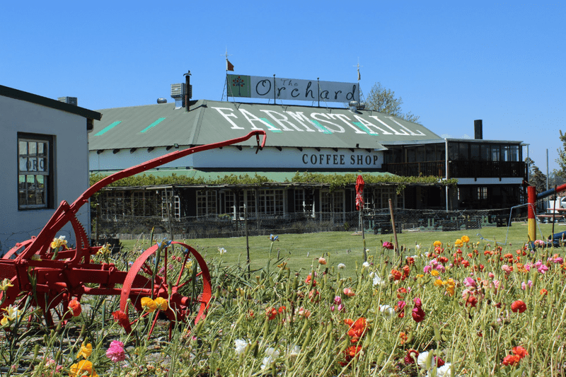 Exterior view of The Orchard Farm Stall in Grabouw